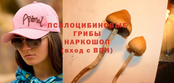 ECSTASY Армянск