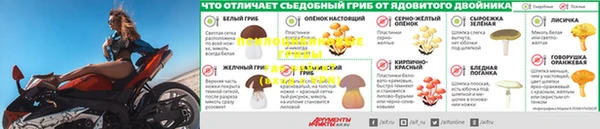 крисы Арсеньев