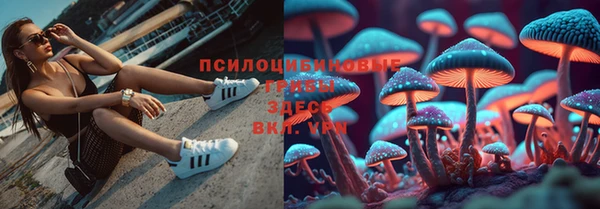 ECSTASY Армянск
