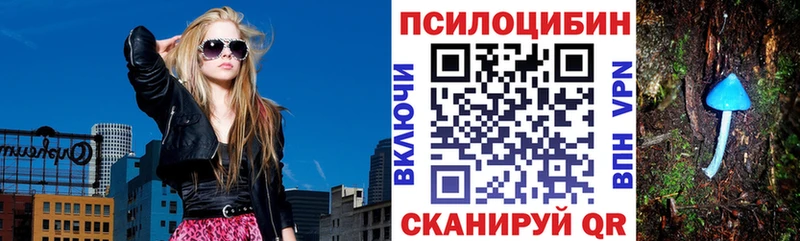 Галлюциногенные грибы Magic Shrooms Тара